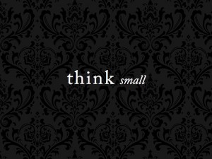 thinksmall-300x225